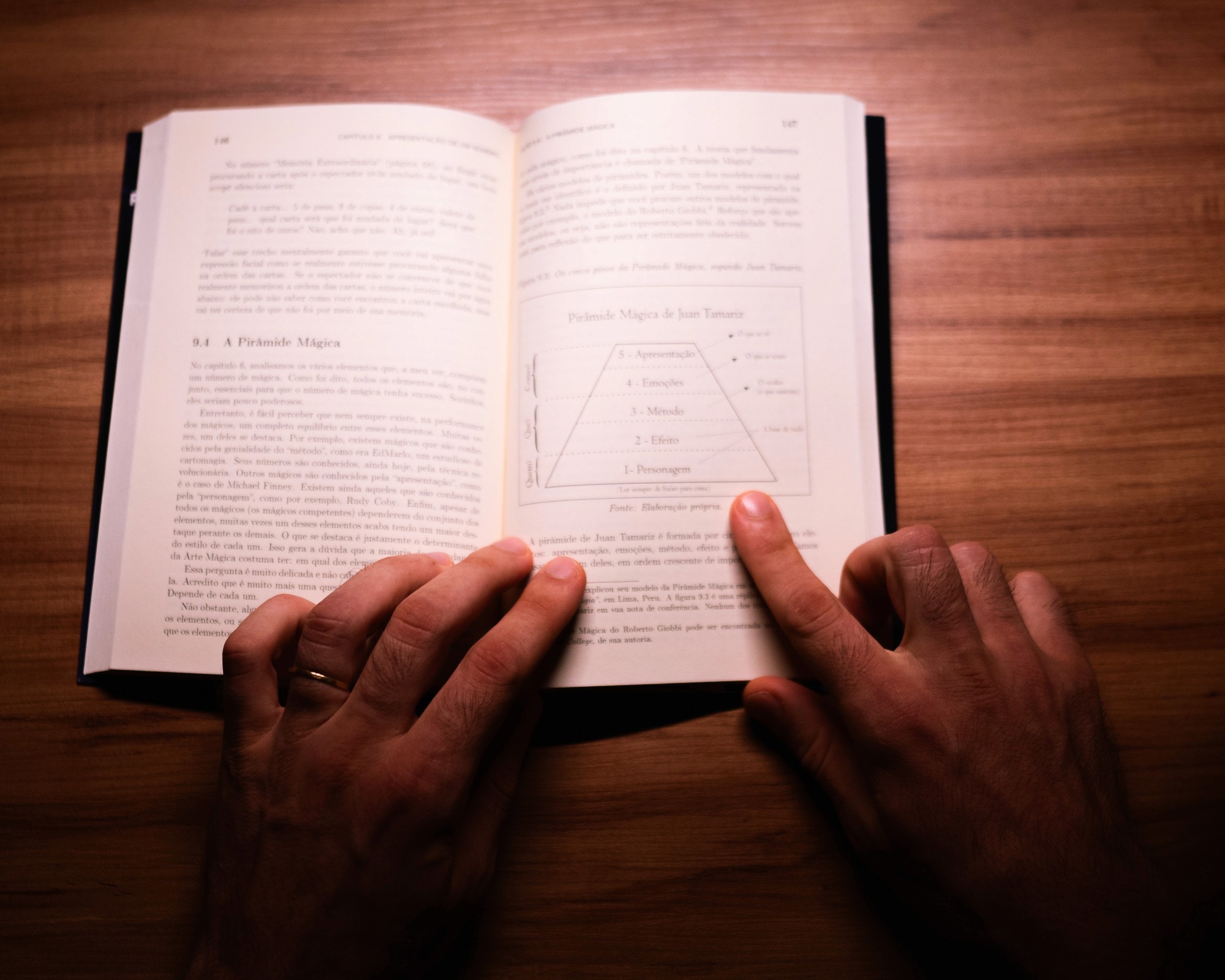 Páginas do livro 5