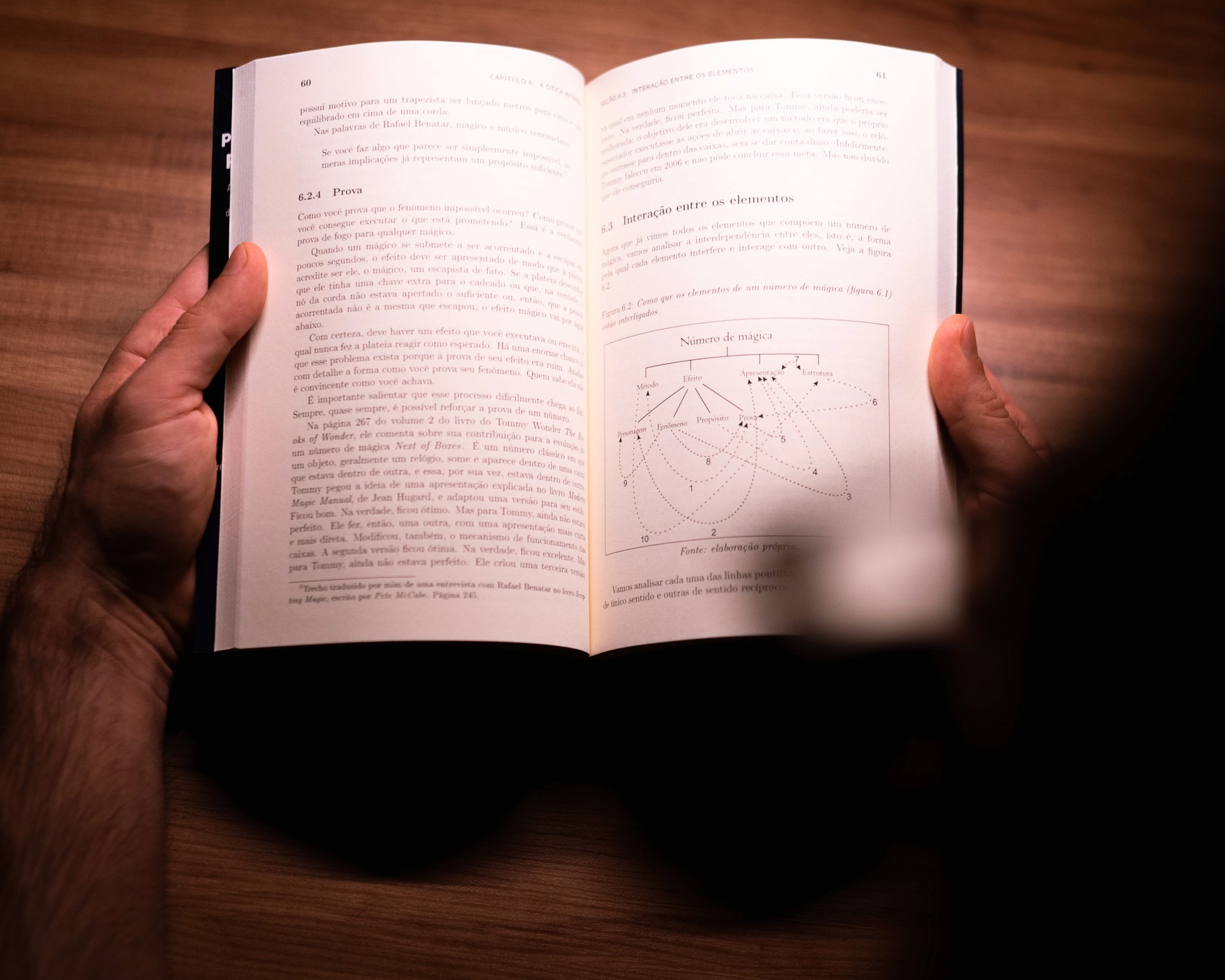 Páginas do livro 3