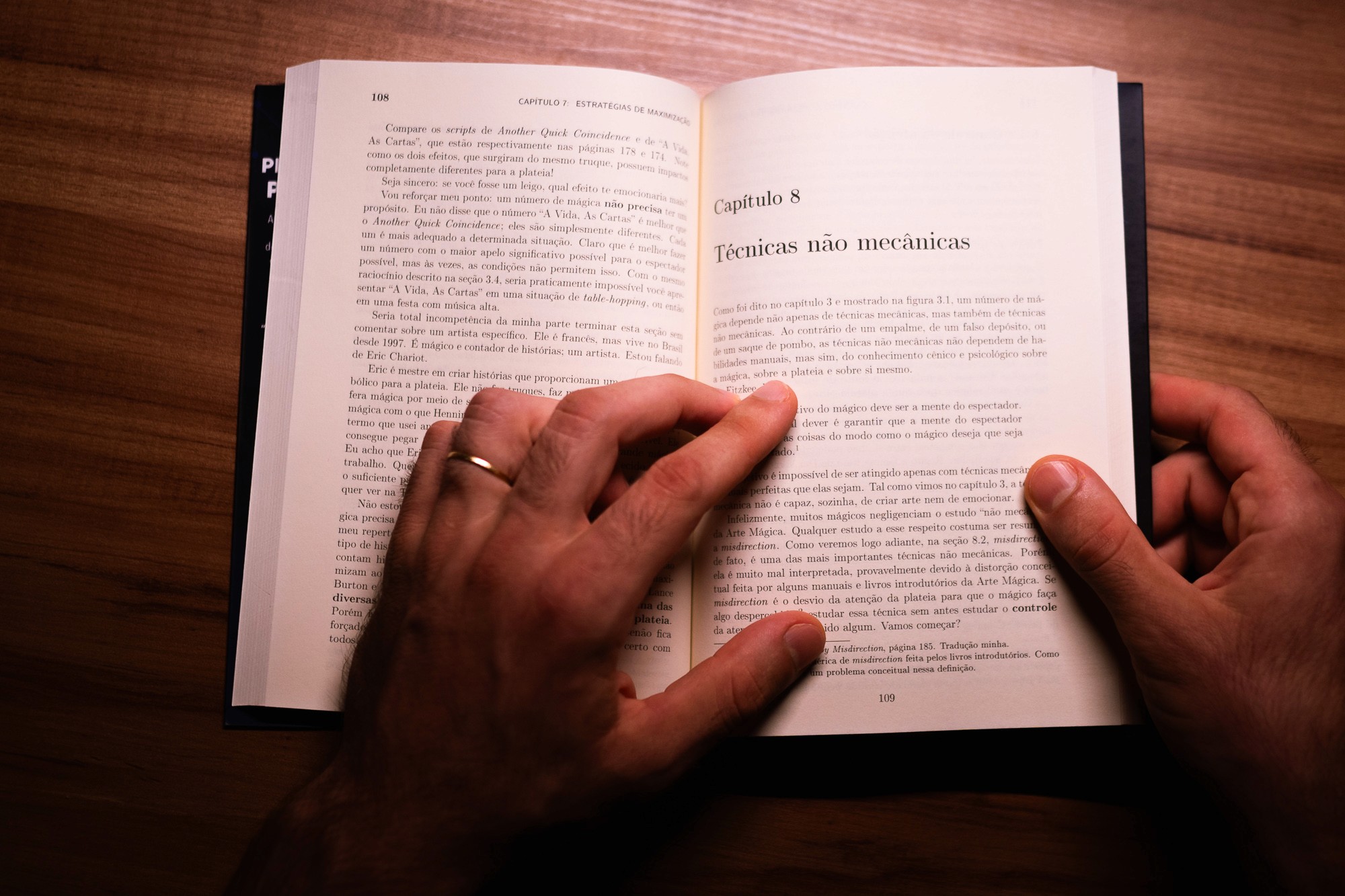Páginas do livro 4