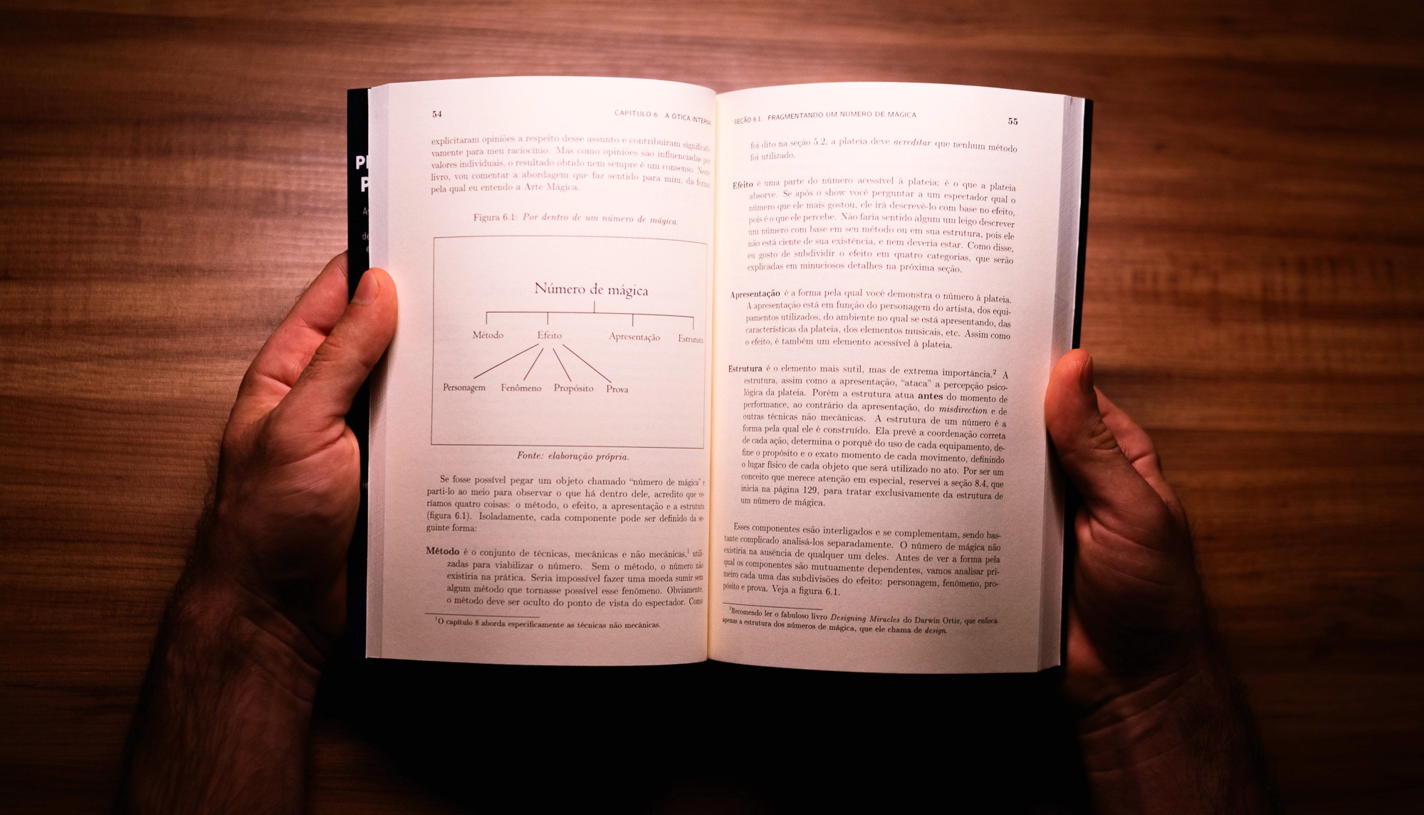 Páginas do livro 1